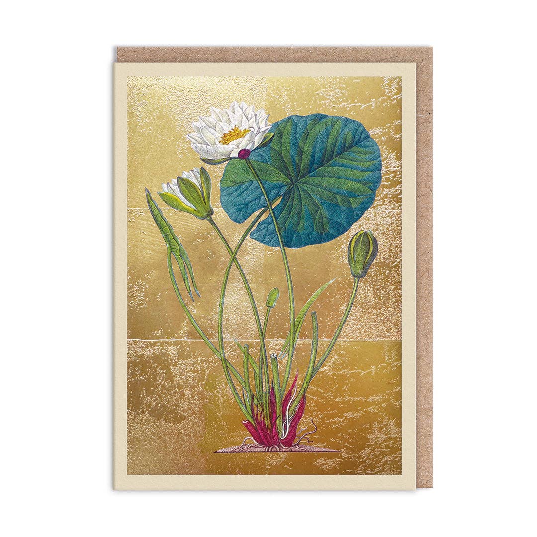 Pond Lily Greeting Card