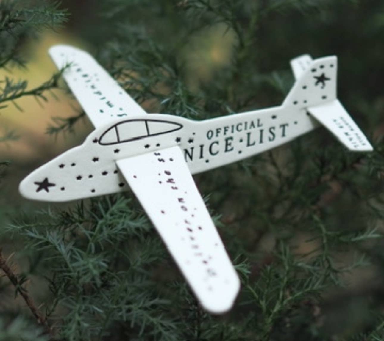 North Pole airplane