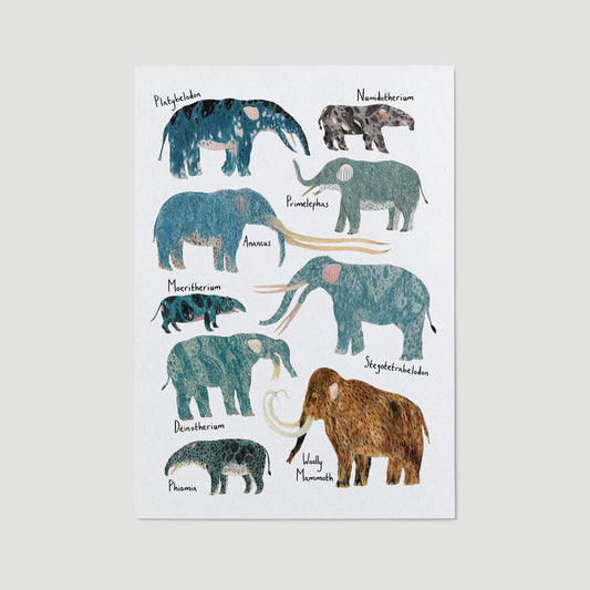 Prehistoric Elephants Art Print: A3 / With Names