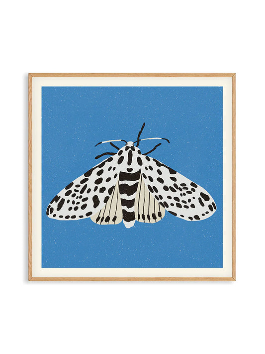 The Moth XL Art Print