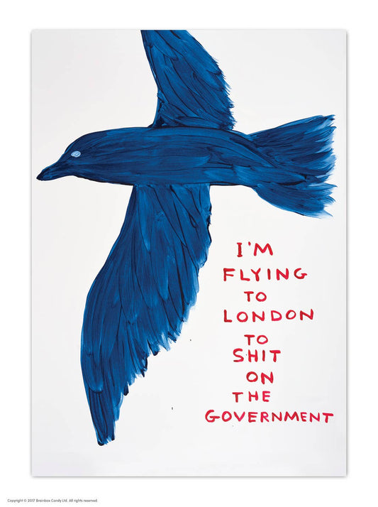 A6 Art Postcard By David Shrigley - Shit On Government