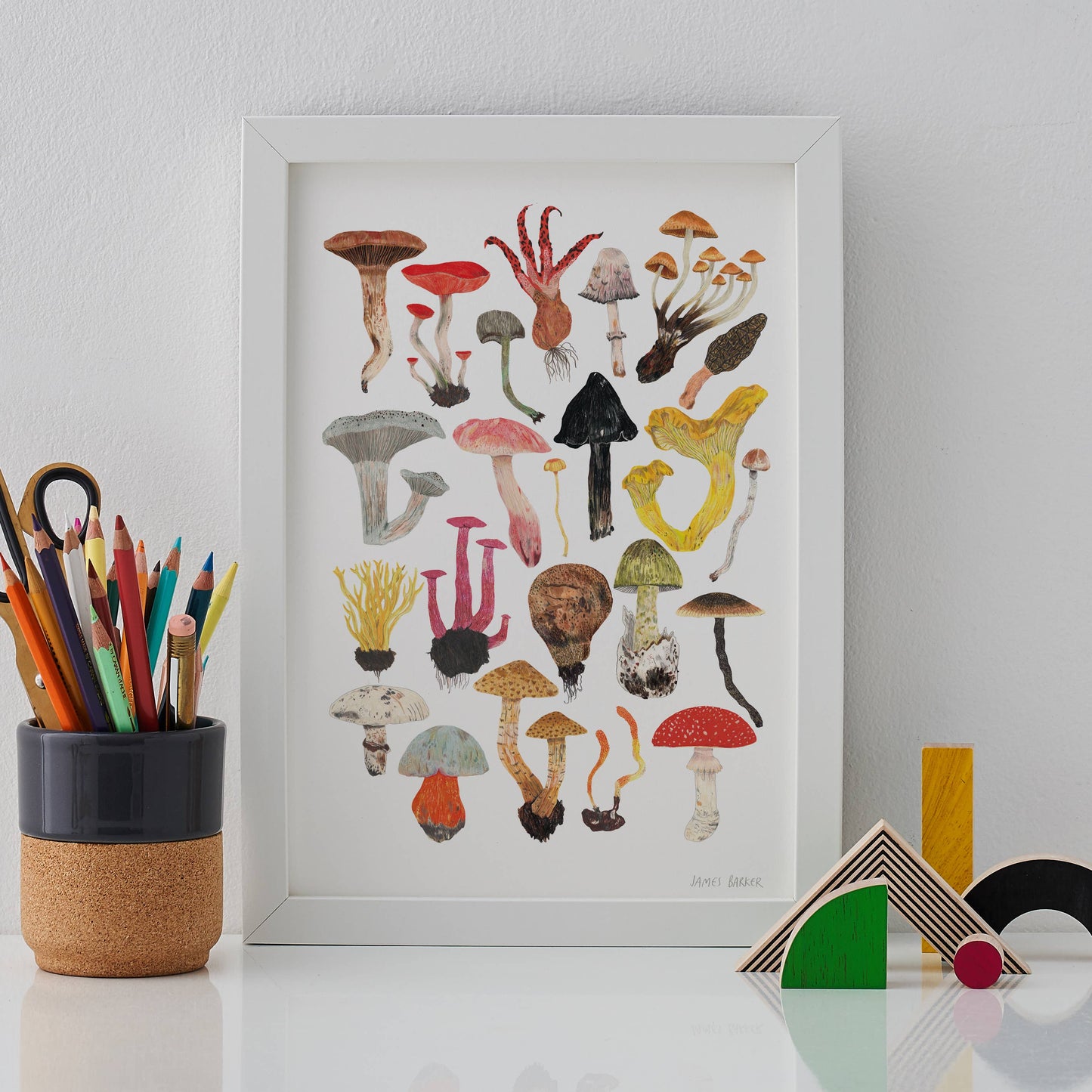 Mushrooms and Toadstools Art Print: A3