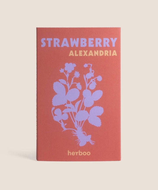 Strawberry 'Alexandria' Seeds