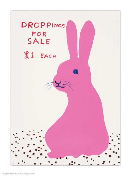 Droppings For Sale David Shrigley Postcard